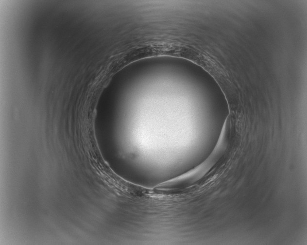 X0000084020961200702161224