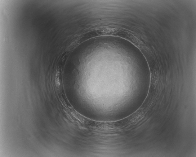 X0000084020962200702161223