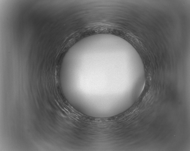 X0000084020964200702161223