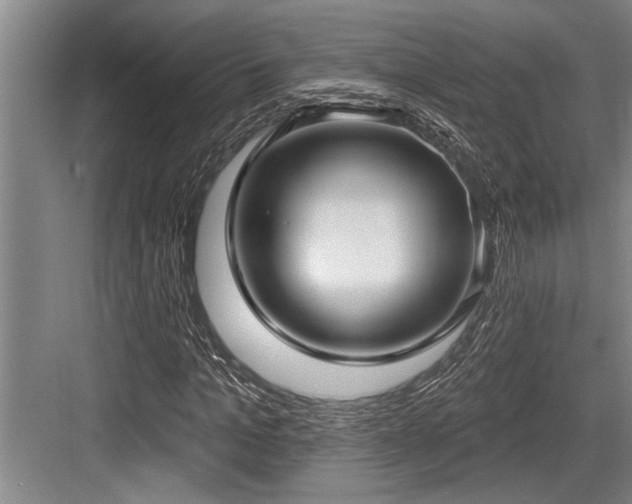 X0000084020965200702161223