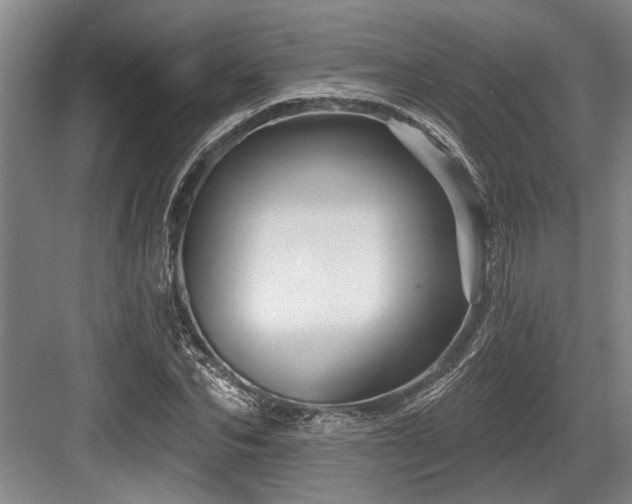 X0000084020974200702161223