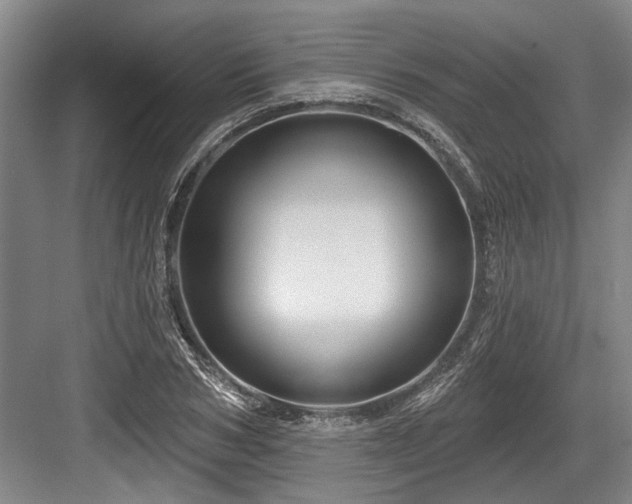 X0000084020978200702161223