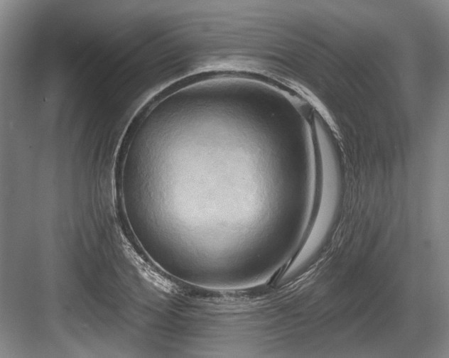 X0000084020980200702161223