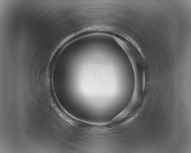 X0000084020981200702161223