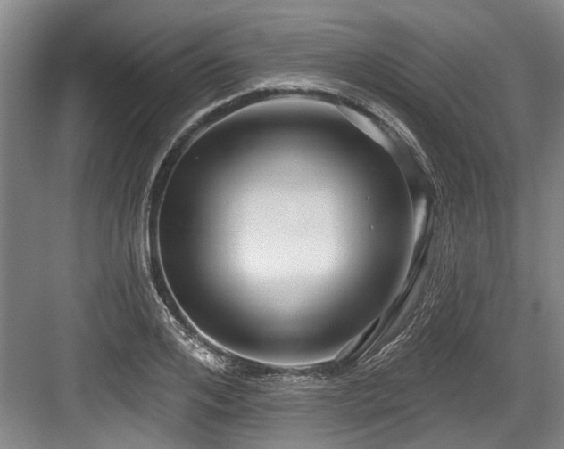 X0000084020984200702161223