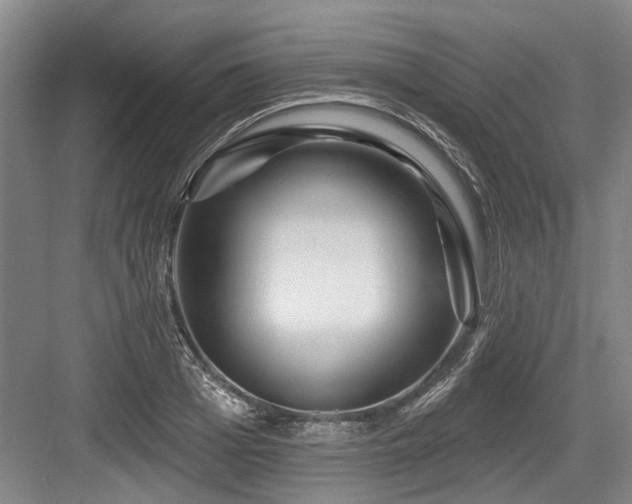 X0000084020985200702161223
