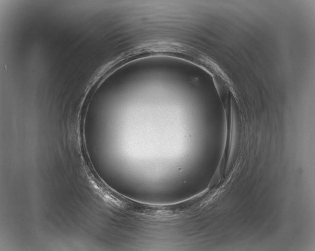 X0000084020986200702161223