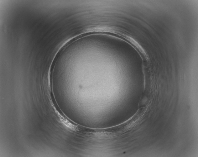 X0000084020988200702161223