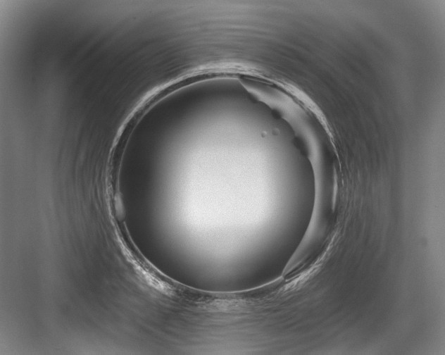 X0000084020989200702161223