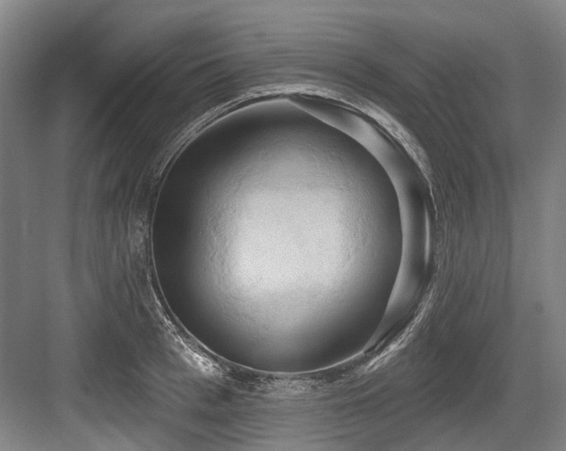 X0000084020993200702161223