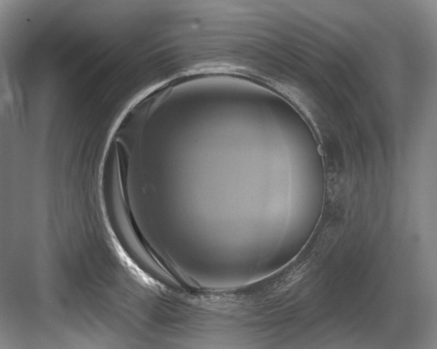 X0000084020995200702161223