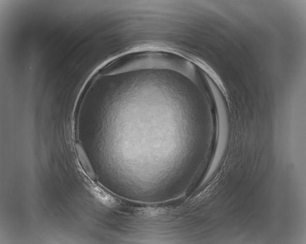 X0000084020996200702161223