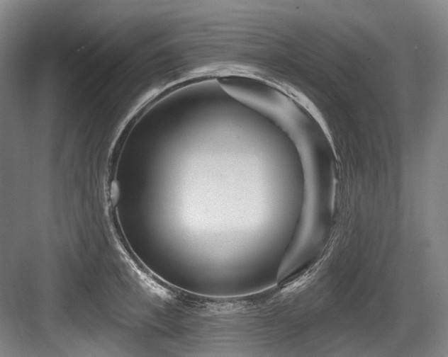 X0000084020997200702161223
