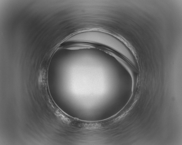 X0000084021001200702161223