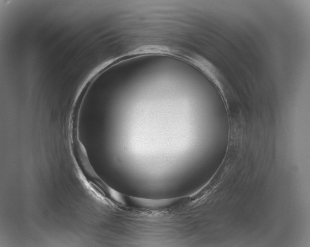X0000084021003200702161223