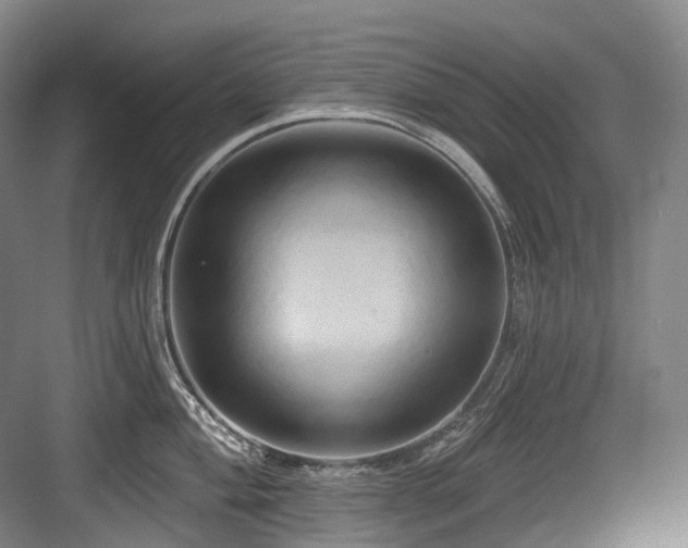 X0000084021004200702161223