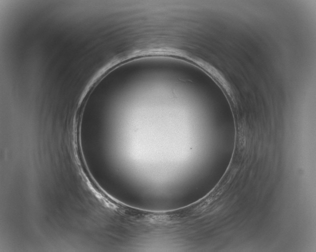 X0000084021006200702161223
