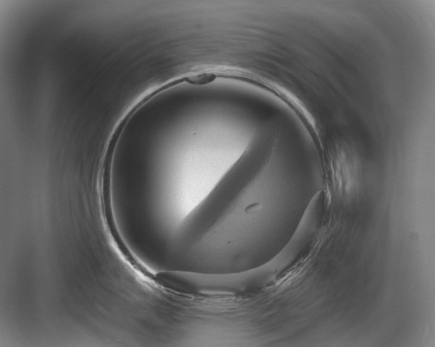 X0000084021007200702161223