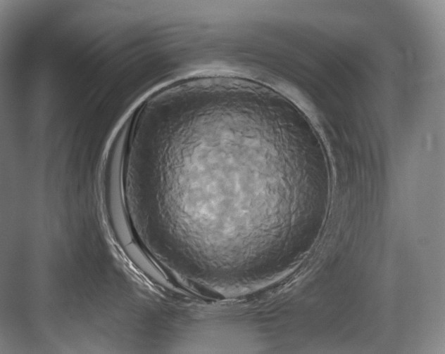 X0000084021008200702161223