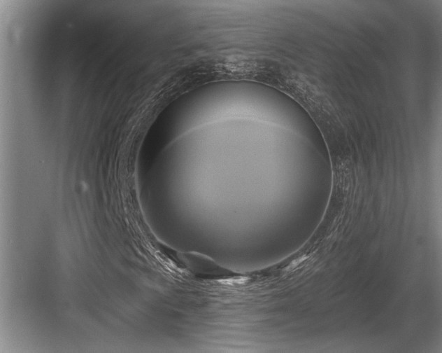 X0000084021009200702161222