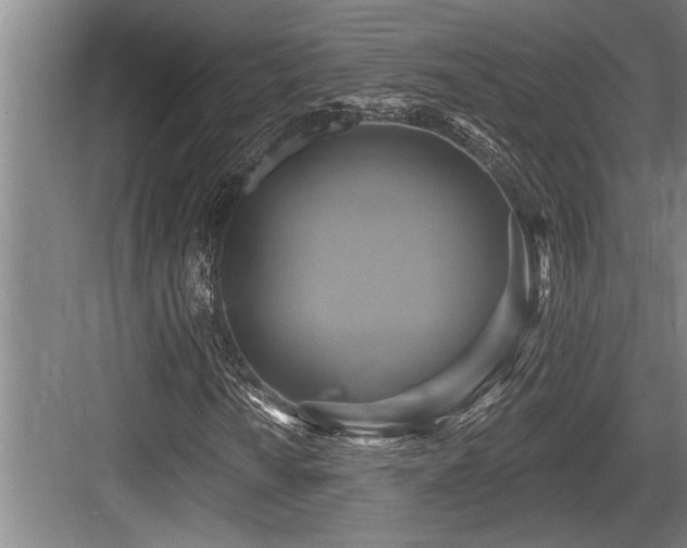 X0000084021010200702161222