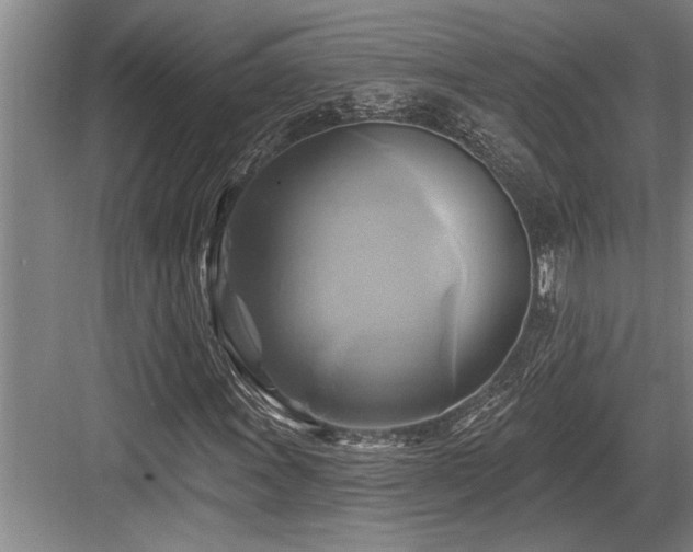 X0000084021011200702161222