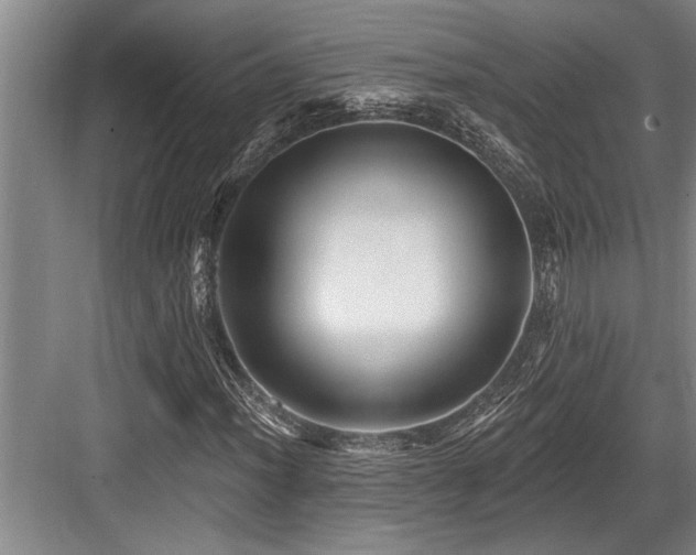 X0000084021012200702161222