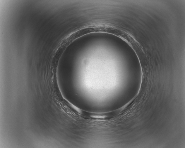 X0000084021016200702161222