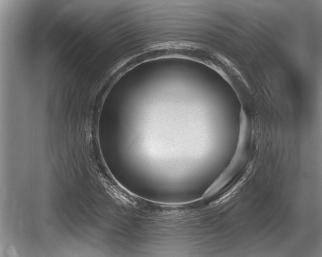 X0000084021017200702161222