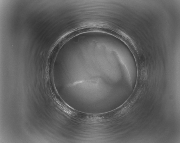 X0000084021019200702161222