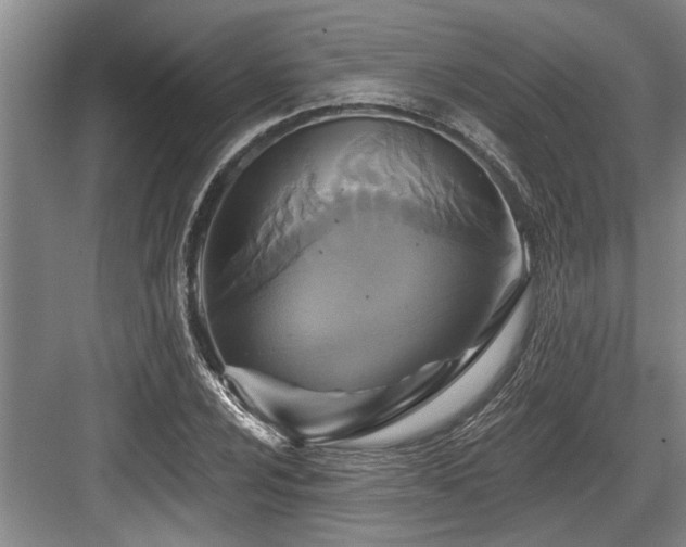 X0000084021024200702161222