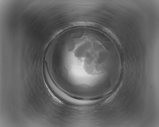 X0000084021033200702161222