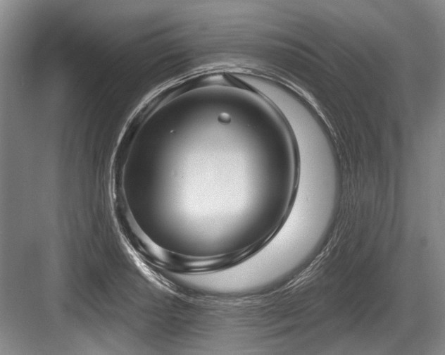 X0000084021034200702161222