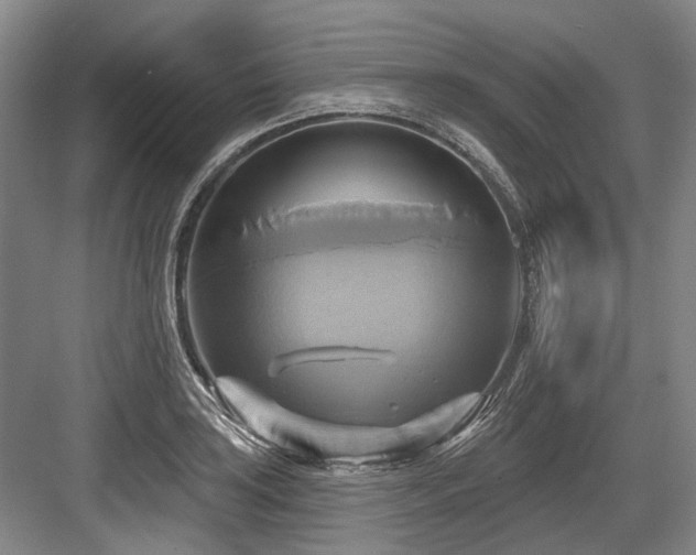 X0000084021035200702161222