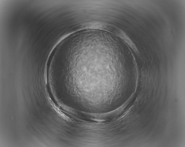 X0000084021036200702161222