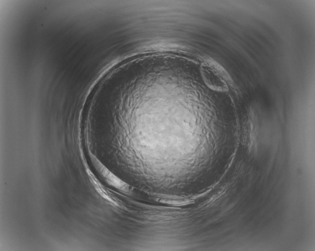 X0000084021039200702161222
