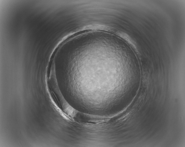 X0000084021040200702161222