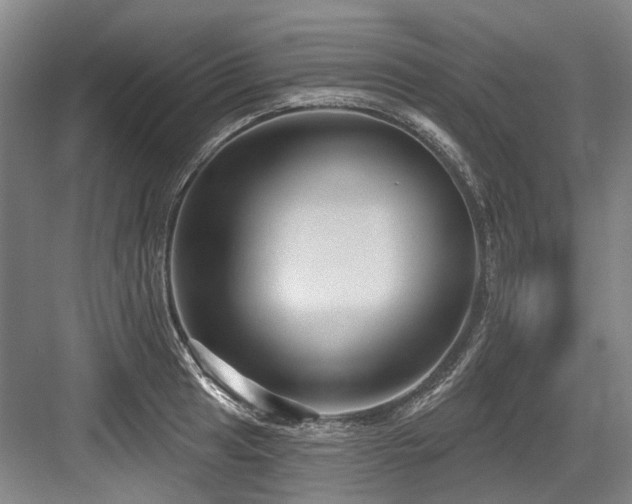 X0000084021041200702161222