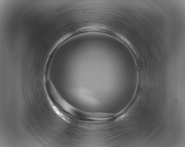 X0000084021042200702161222