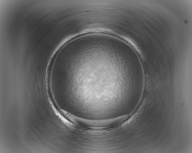X0000084021046200702161223