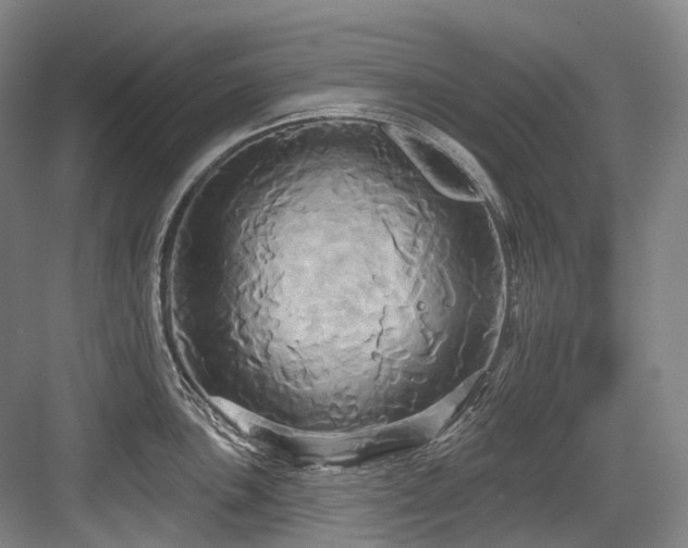 X0000084021051200702161223