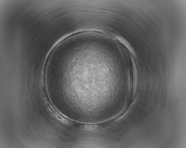X0000084021052200702161223