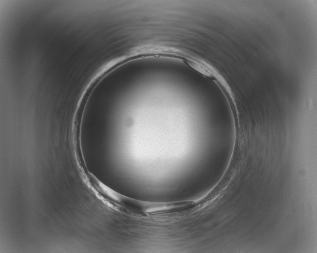 X0000084021053200702161223