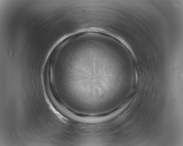 X0000084021054200702161223