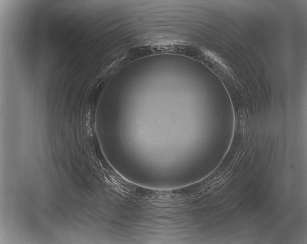 X0000084021060200702161222