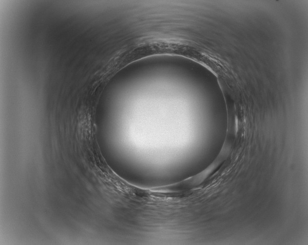 X0000084021061200702161222