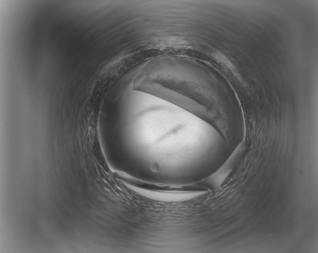 X0000084021063200702161222