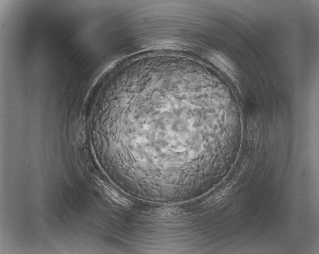 X0000084021067200702161222