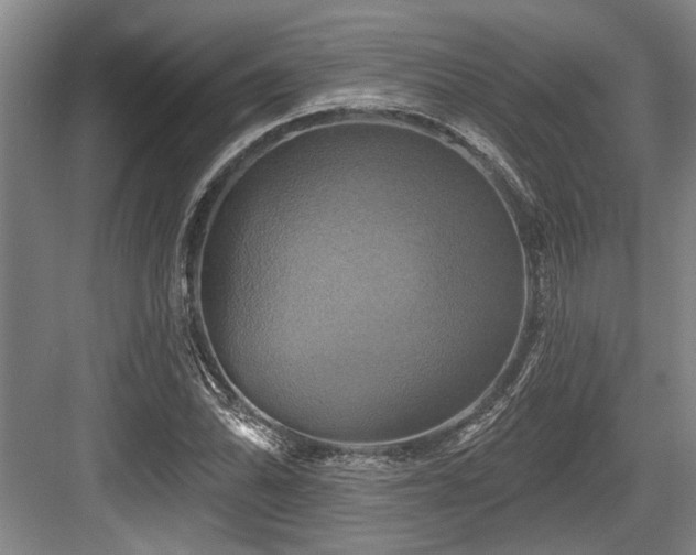 X0000084021070200702161222