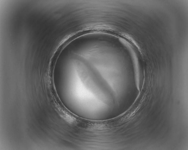 X0000084021071200702161222